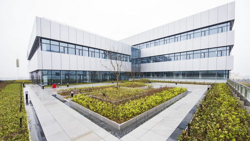 大陸集團(tuán)2021財(cái)年銷售額338億歐元,同比增長(zhǎng)6