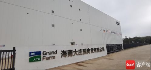 抓項(xiàng)目促投資 全球最大進(jìn)口牛羊肉質(zhì)蛋白精深加工基地投產(chǎn) 洋浦未來有望打造超500億國際食品加工產(chǎn)業(yè)集群