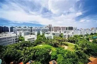 重磅 海南這4個(gè)地方被國(guó)家點(diǎn)名,將大力發(fā)展